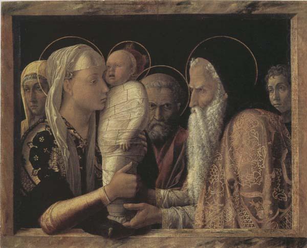 The Presentaion in the Temple, Andrea Mantegna